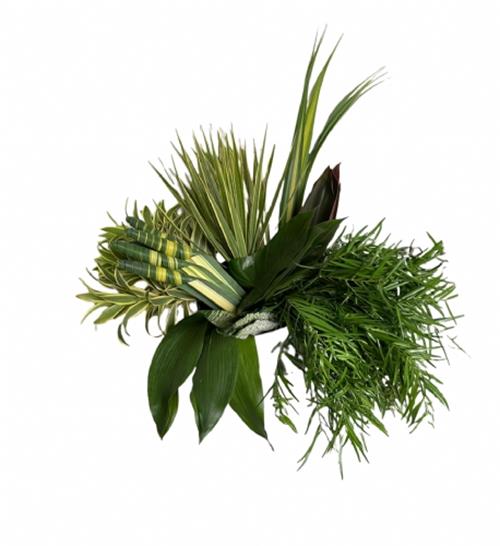 MAGIC BOTANICAL ASSORTED TROPICAL GREENS COMBO BOX